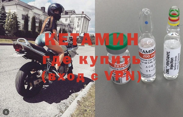 индика Сураж