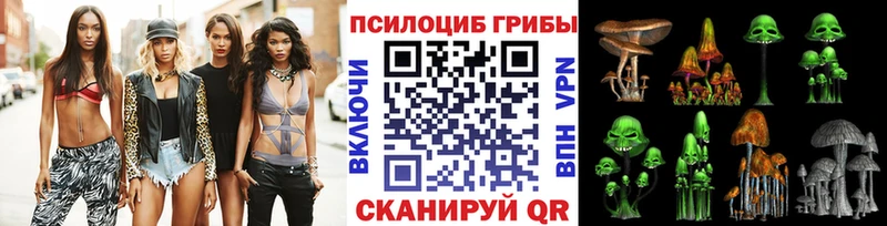 Псилоцибиновые грибы GOLDEN TEACHER  Алейск 