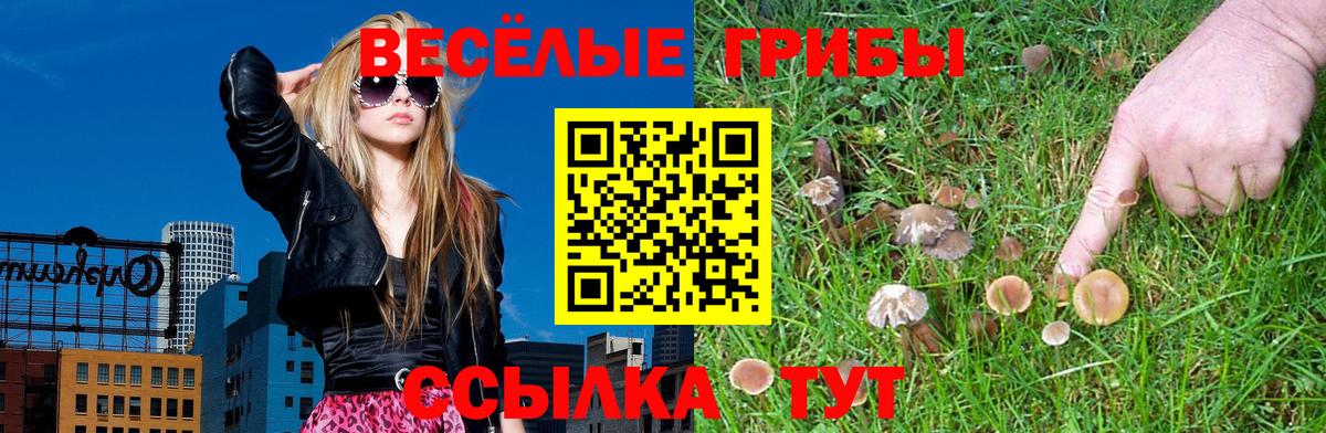 Галлюциногенные грибы Psilocybe  Вход с VPN  Псилоцибиновые грибы Magic Shrooms  купить наркотик  Алейск 