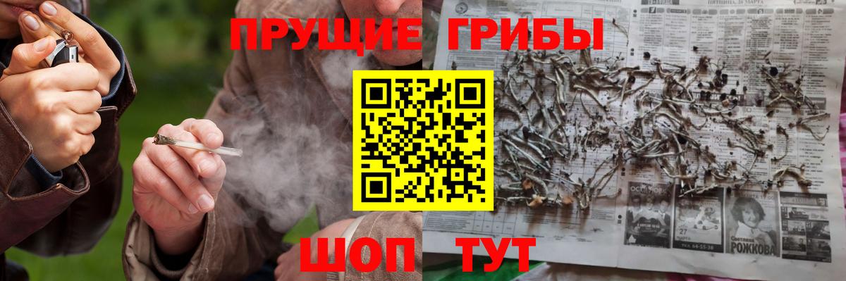 Галлюциногенные грибы мицелий  Галлюциногенные грибы мицелий  Алейск 